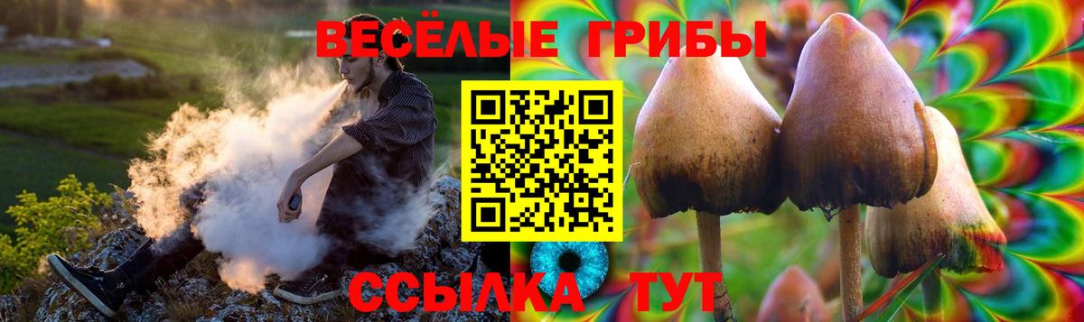 Евпатория  Галлюциногенные грибы GOLDEN TEACHER  Вход с VPN 